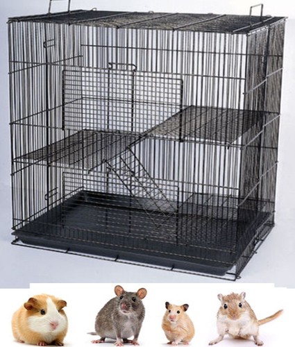 small degu cage