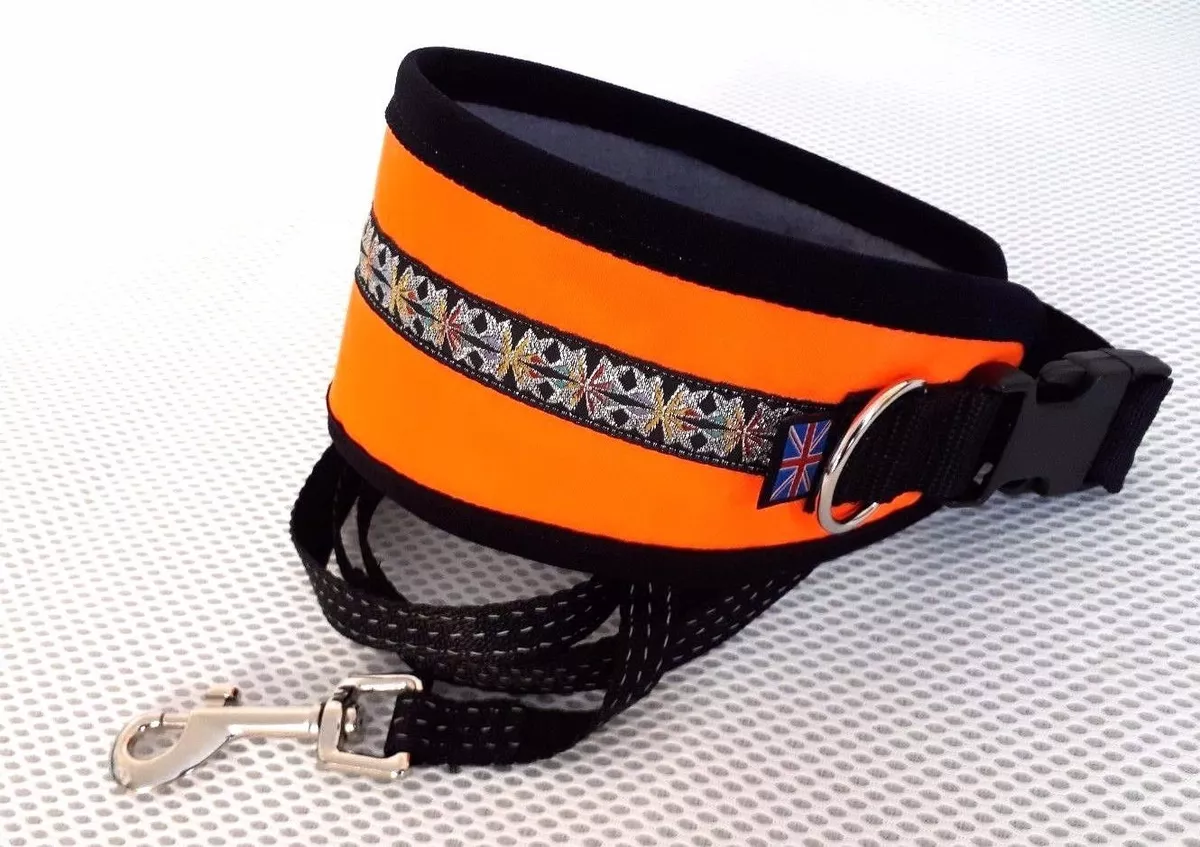 Fleece lined sale dog collars