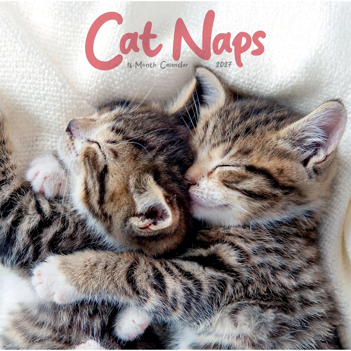 Cat Naps Calendar 2027, Wall Calendars, Month To View, Cats, Gift