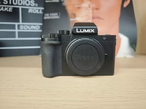 Panasonic Lumix G100 | eBay
