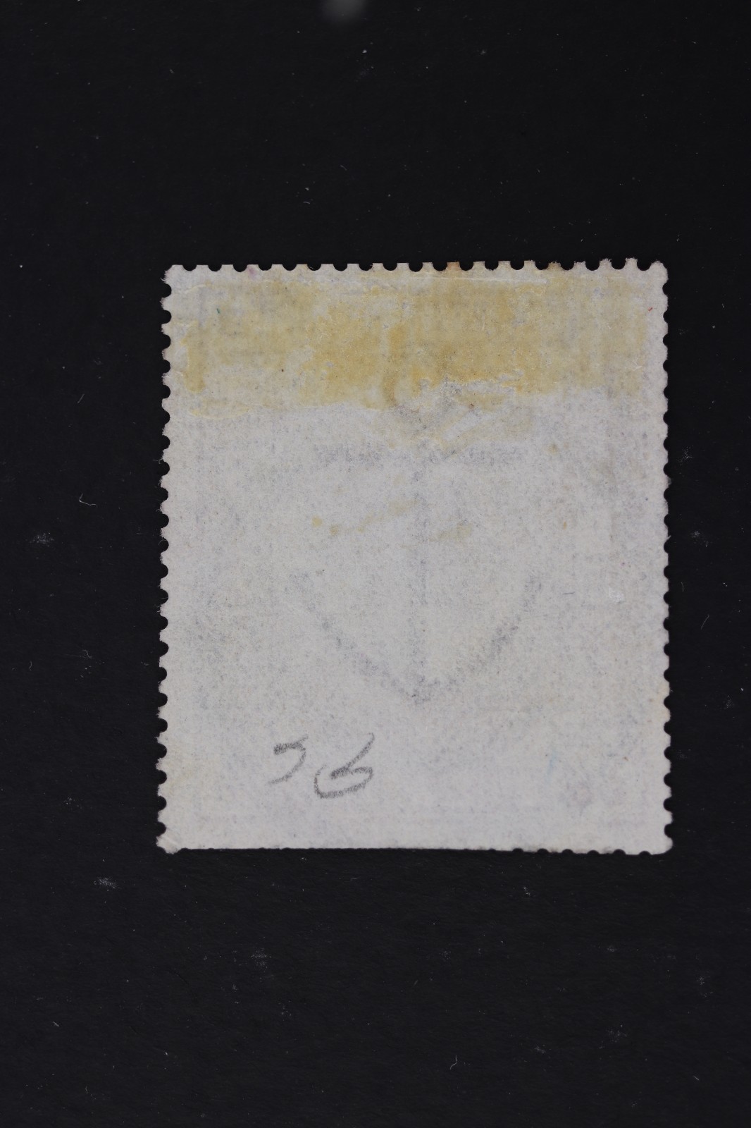 Picture 2