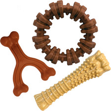Nylabone Customer Favorites Bundle Power Chew Toys for Dogs, Indestructible Dog