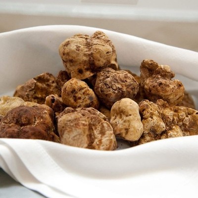 Precious fresh white truffle Mushrooms from Italy. Alba white truffles 180 grams