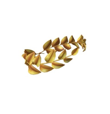 Robl0x Confetti Leaf Crown Golden Hat SPECIAL PARTICLE EFFECTS RARE Toy Code