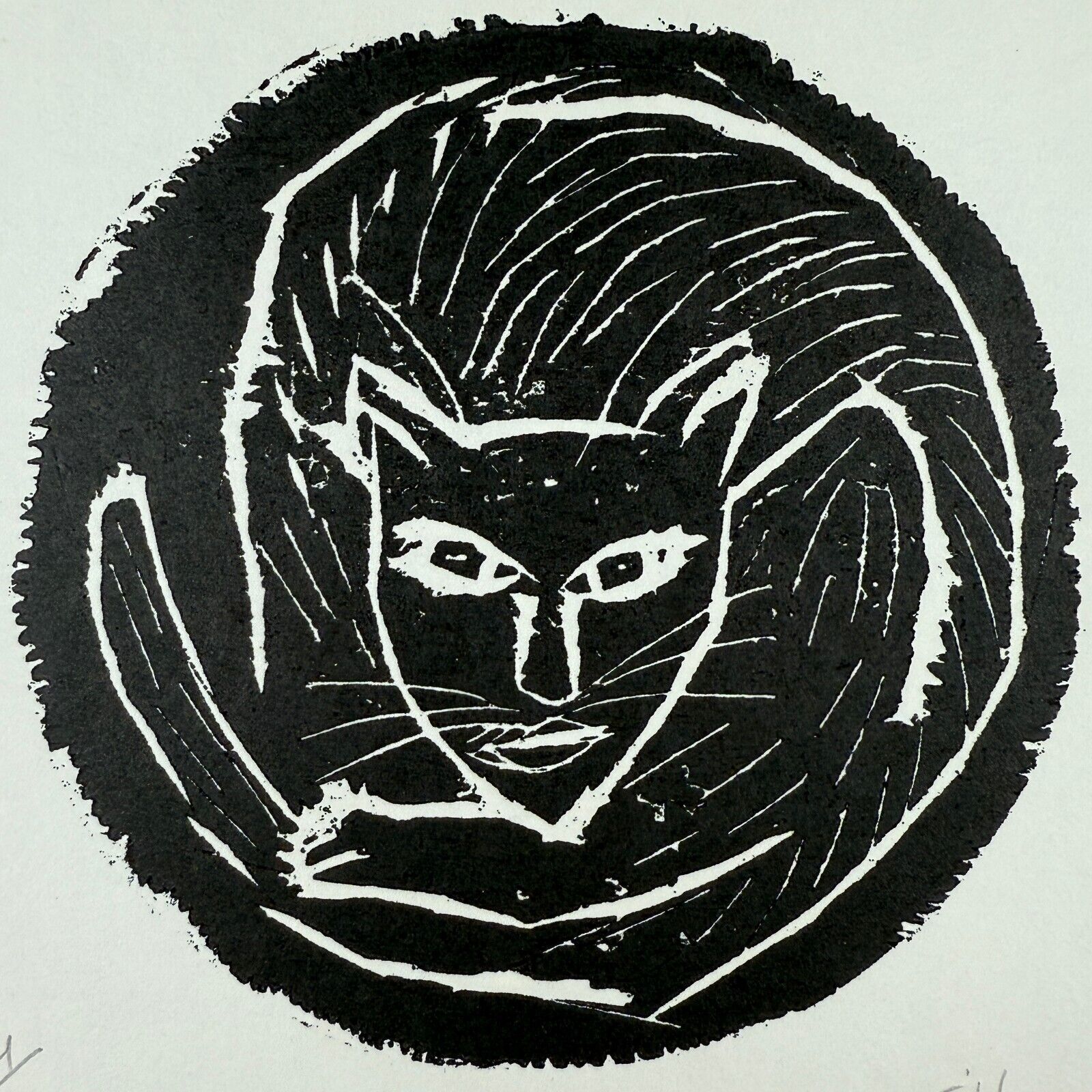 Picture 2 of 5