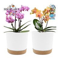 BlumentöPfe 2Er Pack 20,5Cm Mit EntwäSserungslöChern Und Untersetzer Weiß Garten
