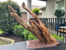 DRIFTWOOD AQUARIUMS FISH REPTILES DECORATION PET SUPPLIES ART GARDEN AQUASCAPING