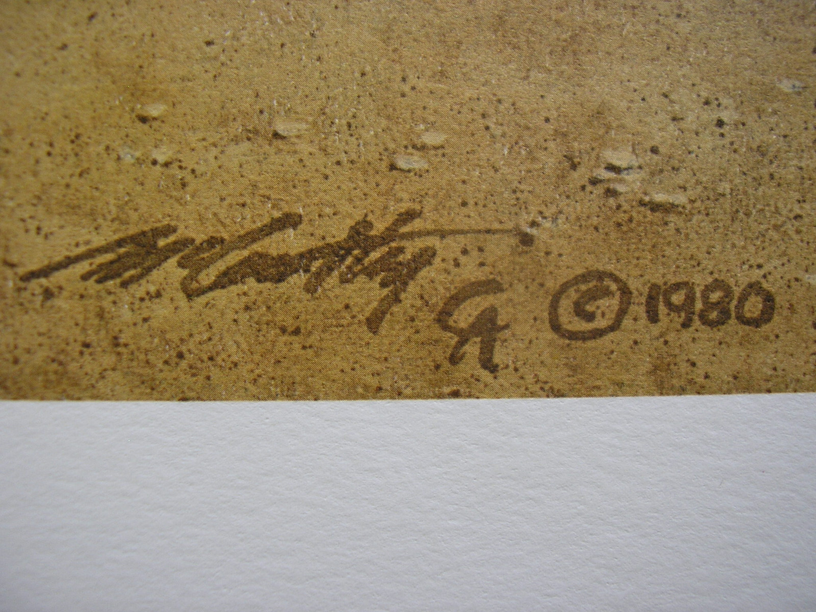 Picture 5 of 9