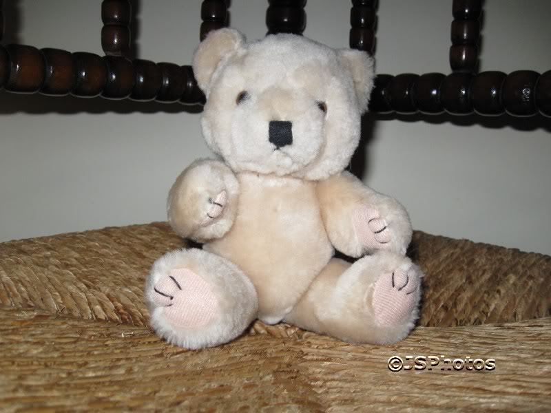 値下げ中　シュタイフAnzu Teddy bear 限定1500体 30cm 716J87bbePL._UF350,350_QL80_.jpg
