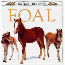 Foal (See How They Grow)-Mary Ling
