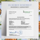 Bild 8 von 10