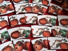 Broken China Mosaic Tiles - APPLE SEASON - mosaic tiles