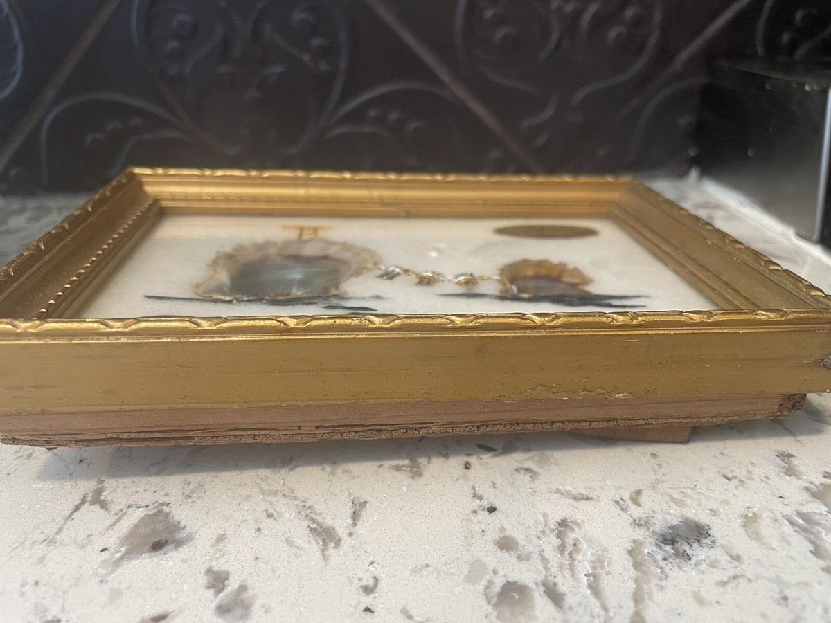 Cultured Pearl & Oyster Shell Vintage Framed Art Japan | eBay