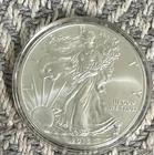 2015 US Mint Silver Eagle 1 troy oz .999 Silver - Brilliant Uncirculated