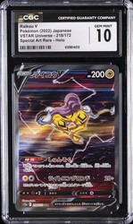 Raikou V 218/172 VSTAR Universe Special Art Rare