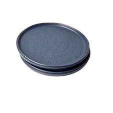 THRESHOLD Studio McGee Blue Stoneware Farmhouse 8.5" Salad Luncheon Plates Set/2