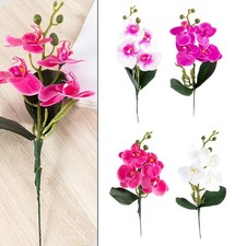 Composizione floreale artificiale Phalaenopsis per arredamento casa design reali