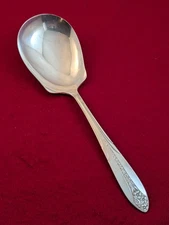 National Silver Co. PRINCESS ROYAL Silverplate Casserole Spoon 8 1/2"
