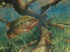 Microfiber Cleaning Cloth. Phone glasses camera screens. Hi-Look. Fishing4.