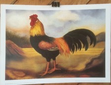 LITOGRAFÍA BELLAS ARTES: Par de impresiones de Alexandra Churchhill English Gallos