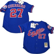 2002 Vladimir Guerrero 27 Expos Mens Mitchell  Ness Authentic BP Jersey 130