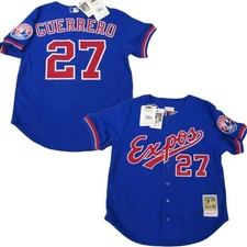 2002 Vladimir Guerrero #27 Expos Mens Mitchell & Ness Authentic BP Jersey $130