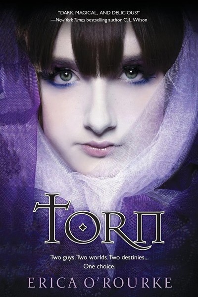 Erica O'rourke | Torn | Taschenbuch | Englisch (2011) | Kartoniert / Broschiert-image