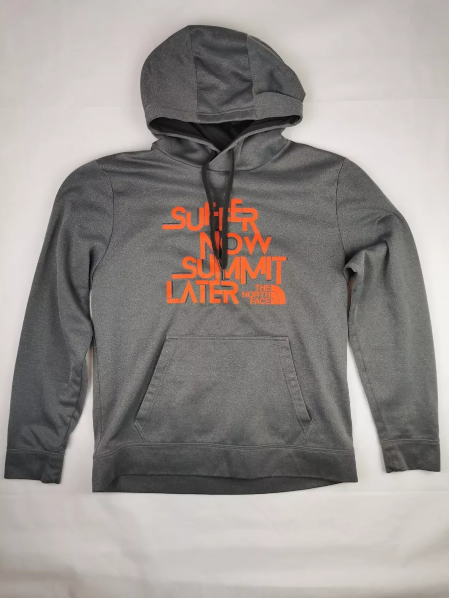 The North Face Men s Hoodie Grey Logo Size L Large
