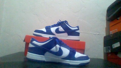 Size 12 - Nike Dunk Low Concord