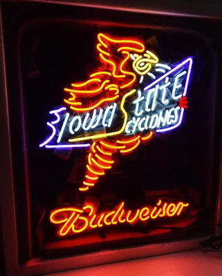 Sport Team Logo &Beer Real Neon Signs Custom Art Decor 24"x20" Gift