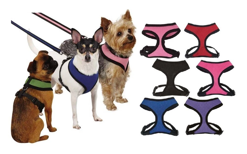 Dog Harness Bulk Packs Anti Pull Colorful Breathable Mesh Chest Plate Control