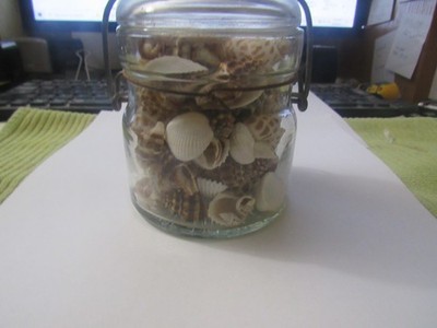 Vintage Half Pint ATLAS E-Z SEAL Wire Bail Top- Bold Embossed-Full of Sea Shells