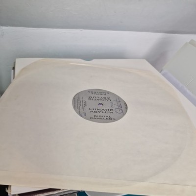 (197) Lunatic Asylum    Digital Cameleon HARDCORE 12''  VGC+