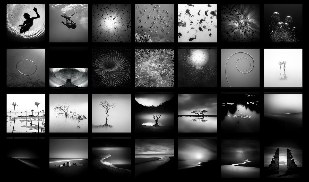 洋書 THE REFINED EYE by Hengki Koentjoro THE REFINED EYE 