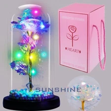 Enchanted Galaxy Flower LED Rose in Glass Dome - Christmas Birthday Gift for Her