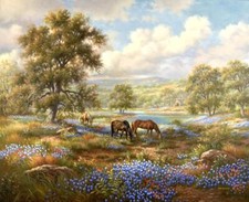 Ceramic Backsplash Tile Mural Horse Animal Kitchen/Bathroom - Peaceful Meadow