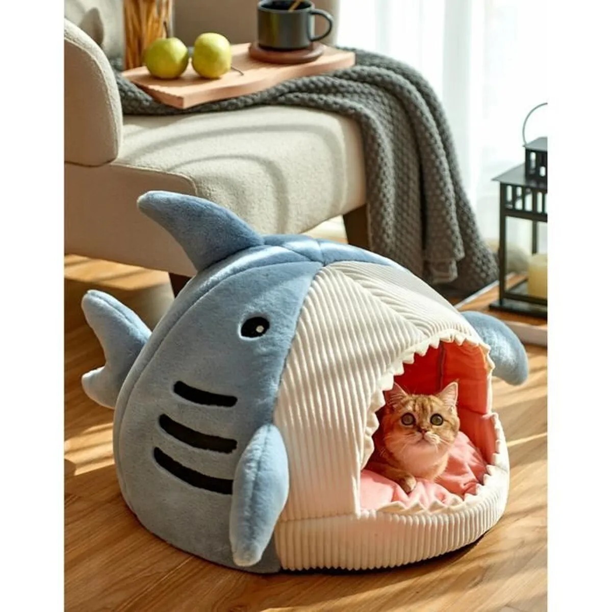 Niche chat requin bleu lit moelleux et chaud pour des siestes en hiver