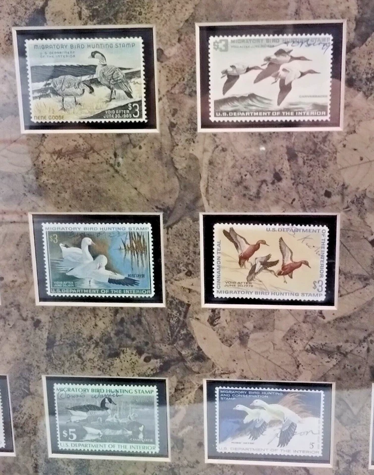 1960-1979 US Federal Duck Stamps 20 Years All Signed Used-Very Nice & Framed - Image 4 of 4