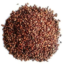 Eva Impex Grape Seeds – Angoor Beej Dried Herb