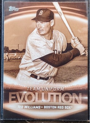 2019 Topps Team Uniform Evolution Ted Williams Andrew Beninendi #EO-9 Boston 