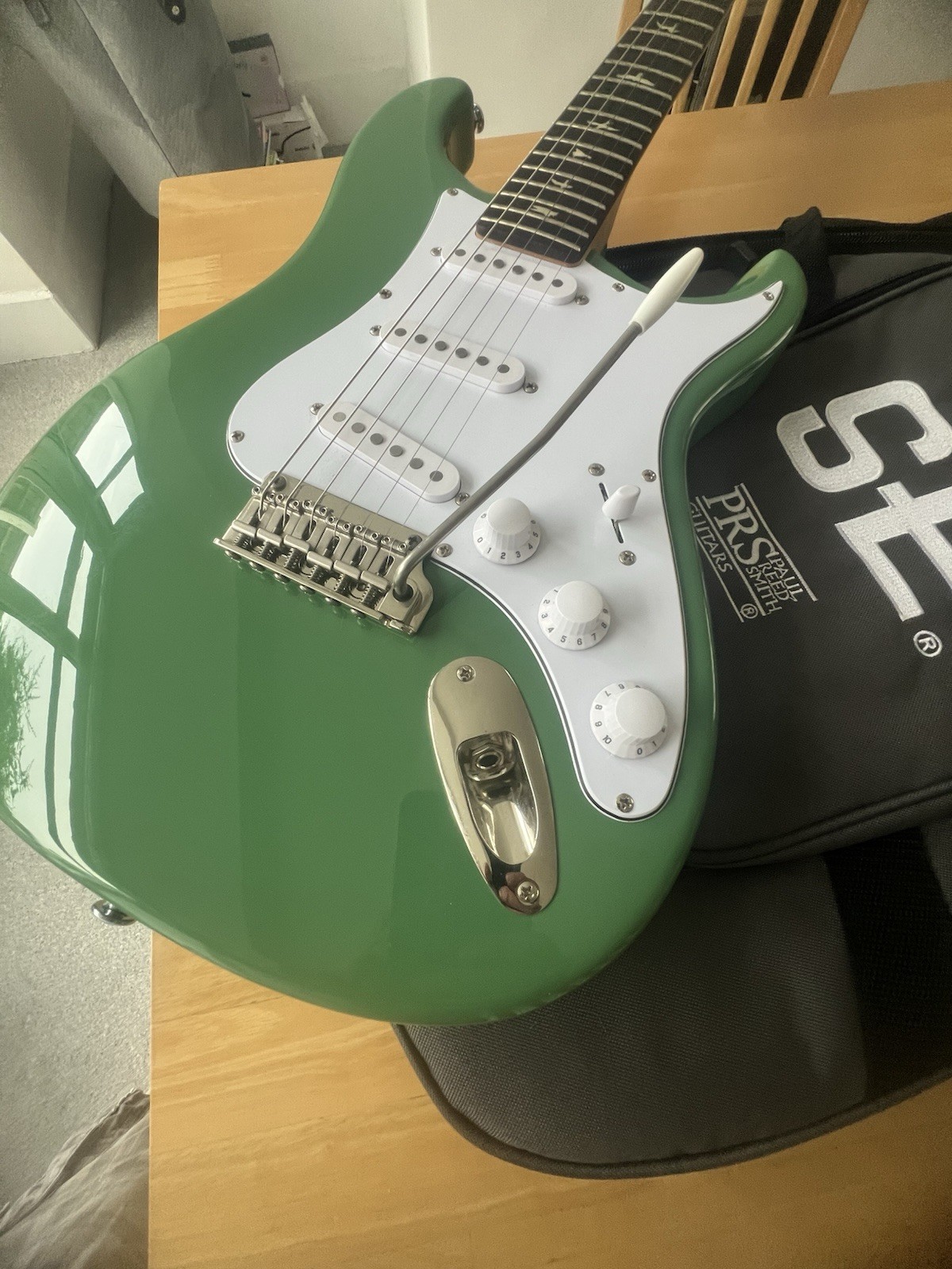 PRS SE Silver Sky Electric Guitar (GIG BAG)