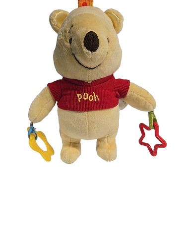 Disney Baby 2014 Winnie The Pooh On The Go Baby Activity Toy Texture Crinkle