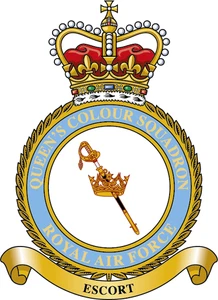 Queen's Colour Squadron RAF Regiment badge patch Self Adhesive Vinyl Sticker