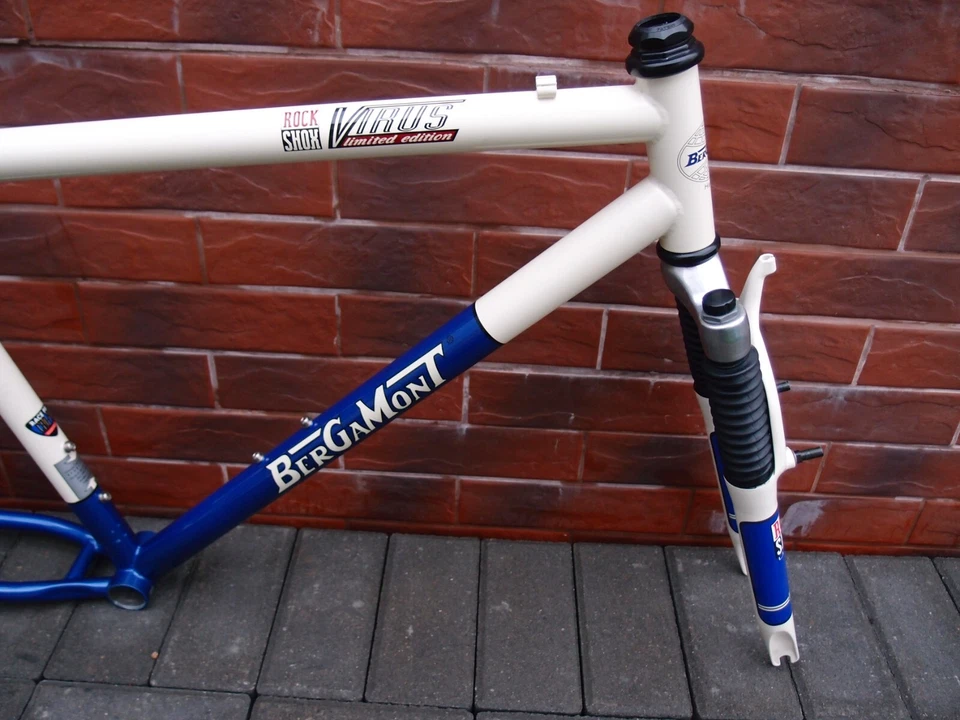 NOS Bergamont Virus Limited Edition MTB frame 19 in Rock Shox Indy - Image 4 of 4
