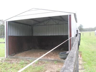 Horse Agistment And Spelling Horses Ponies Gosford Gumtree