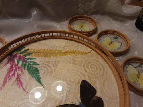 Vintage Pressed Butterfly Coasters & Tray Price Bamboo Bohemian Boho mcm retro - Picture 11 of 12