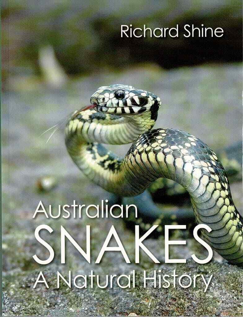 洋書 Australian Snakes: A Natural History Australian Snakes - A Natural History 9781876334253 | eBay