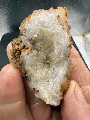 Ancient Fossilized Indiana Geode Clear Quartz Crinoid Calyx Agate 250 Carats