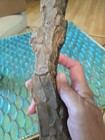 18.5" Hand Painted Wood Bark Traditional  Santa Wall  Decoration — photo 10