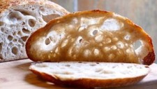 SOURDOUGH bread STARTER San Francisco THE BEAST RECIPES 10 starters in 1 mix d
